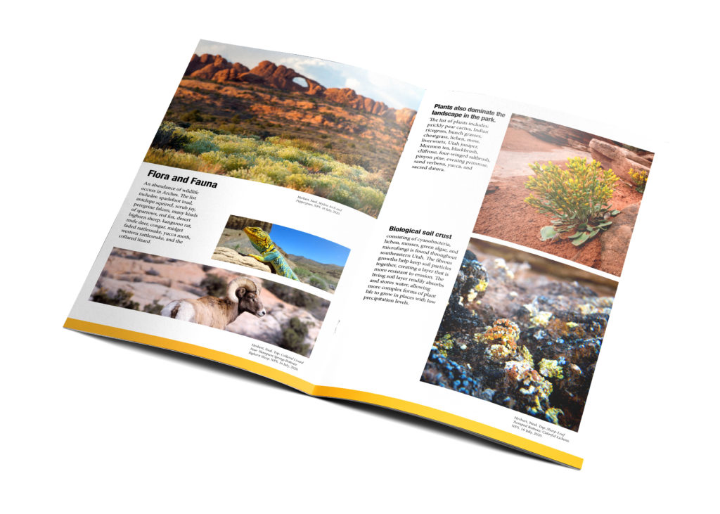 Mockup of a second inside spread of the Arches National Park magazine