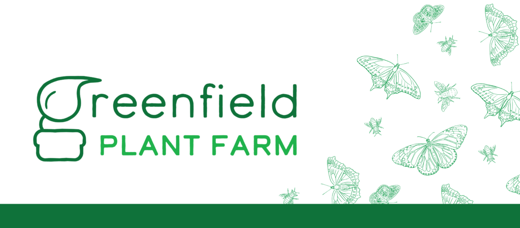 image of the greenfield plant farm logo next to a green pattern of line-drawn different pollinators