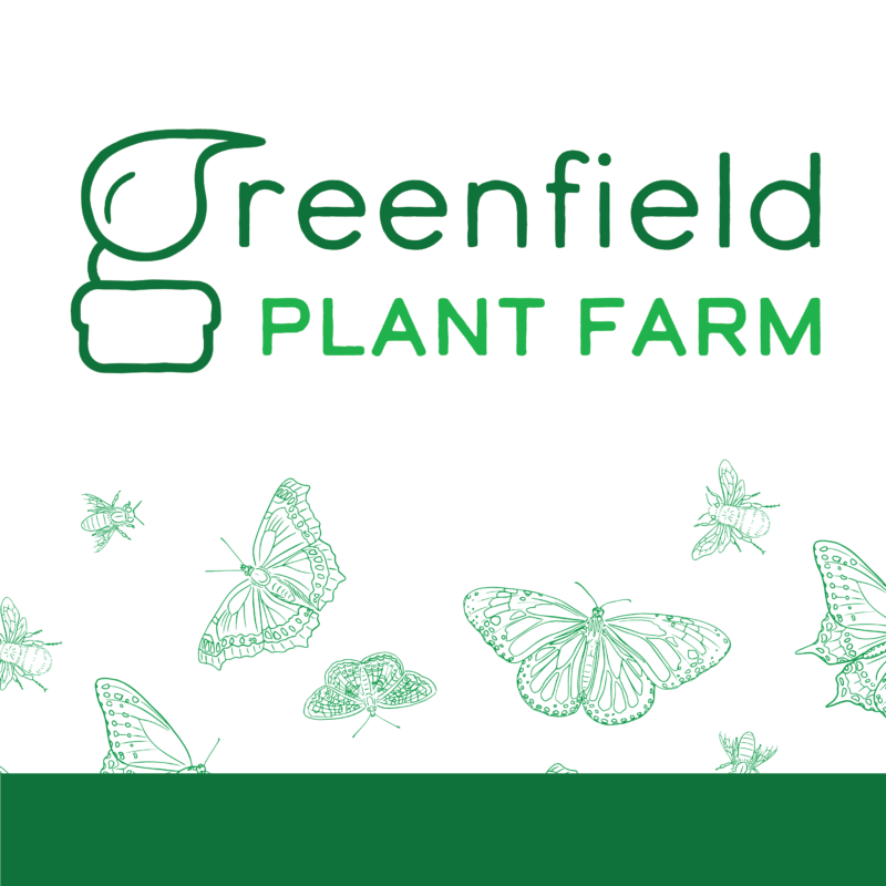 square image of the greenfield plant farm logo with a pattern of line-drawn pollinators and a dark green bar below it