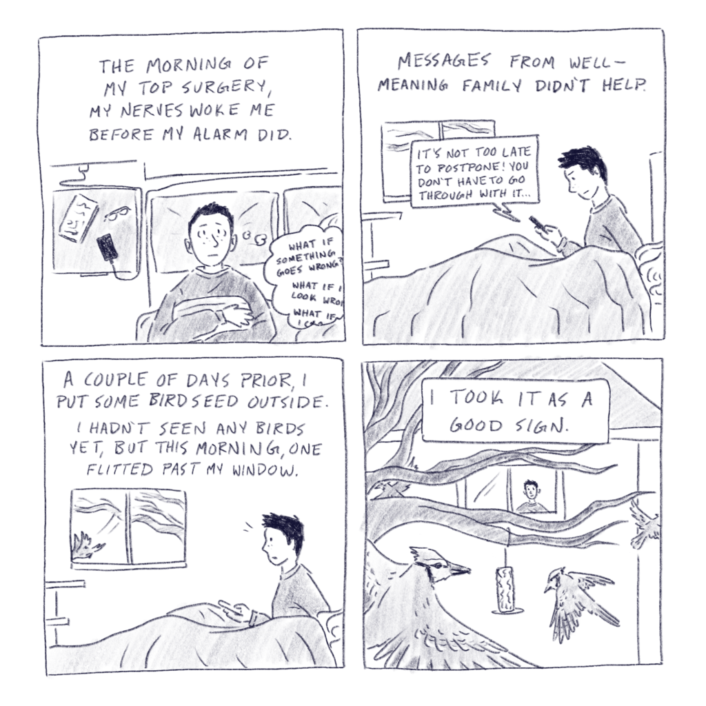 Comic made of 4 square panels. Panel 1 contains the text, “The morning of my top surgery, my nerves woke me before my alarm did” over a drawing of me lying awake in bed with a thought bubble containing the text, “What if something goes wrong? What if I look wrong? What if…” Panel 2 contains the text, “Messages from well-meaning family didn’t help” over a drawing of me sitting up as I read a message on my phone that says, “It’s not too late to postpone! You don’t have to go through with it…” Panel 3 reads, “A couple of days prior, I put some birdseed outside. I hadn’t seen any birds yet, but this morning, one flitted past my window” over a drawing of me looking up from my phone to see a bird flying past the window. Panel 4 shows the outside of my building, where multiple bluejays fly around a stick of birdseed. Text at the top of the panel reads, “I took it as a good sign.”