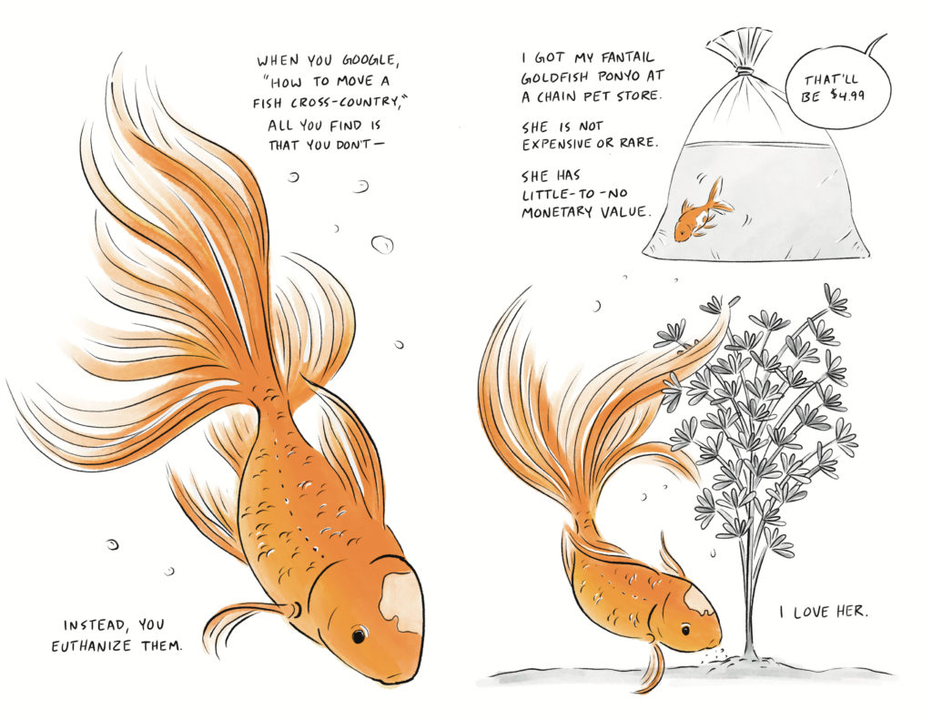 Page 1 of a 12 page comic. The page is panelless, with a large illustration of an orange fantail goldfish swimming through the center of the page. Text reads, “When you google, ‘how to move a fish cross-country,’ all you find is that you don’t- instead, you euthanize them.” Page 2 of a 12 page comic. The top half of the page contains the text, “I got my fantail goldfish Ponyo at a chain pet store. She is not expensive or rare. She has little-to-no monetary value.” Next to it is a drawing of a tiny fantail goldfish in a plastic bag. a speech bubble from off panel says, “That’ll be $4.99. The bottom half of the page contains a drawing of the same goldfish, now exponentially larger as it swims around an aquarium plant. Next to it is the text, “I love her.”