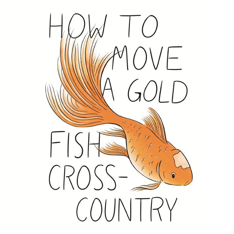 Illustration of a bright orange fantail goldfish surrounded by large text that reads, "How to move a goldfish cross-country."