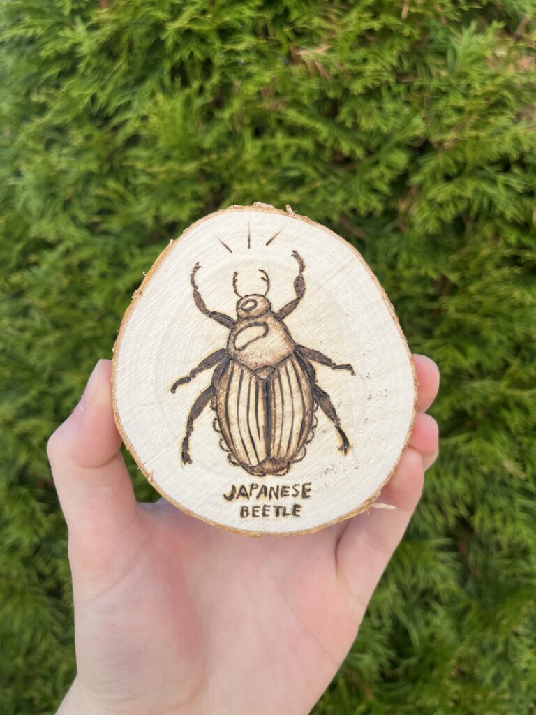 Photo of a hand holding a small wooden disc that is a cross-cut of a tree. A Japanese Beetle design is burned into it.