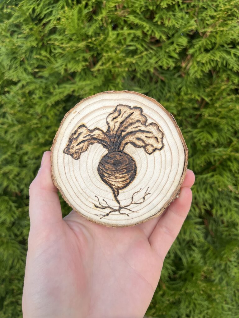 Photo of a hand holding a small wooden disc that is a cross-cut of a tree. An illustration of a radish is burned into it.