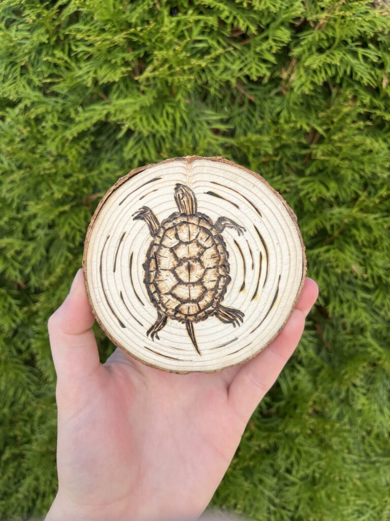 Photo of a hand holding a small wooden disc that is a cross-cut of a tree. An illustration of a turtle is burned into it.