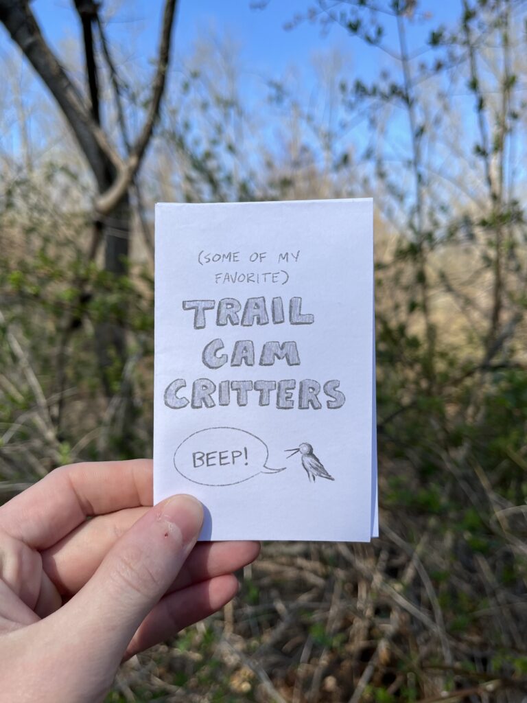 Photo of a zine cover that contains gray text that reads, "(Some of my favorite) Trail Cam Critters". Below is a drawing of an American Woodcock saying "Beep!"