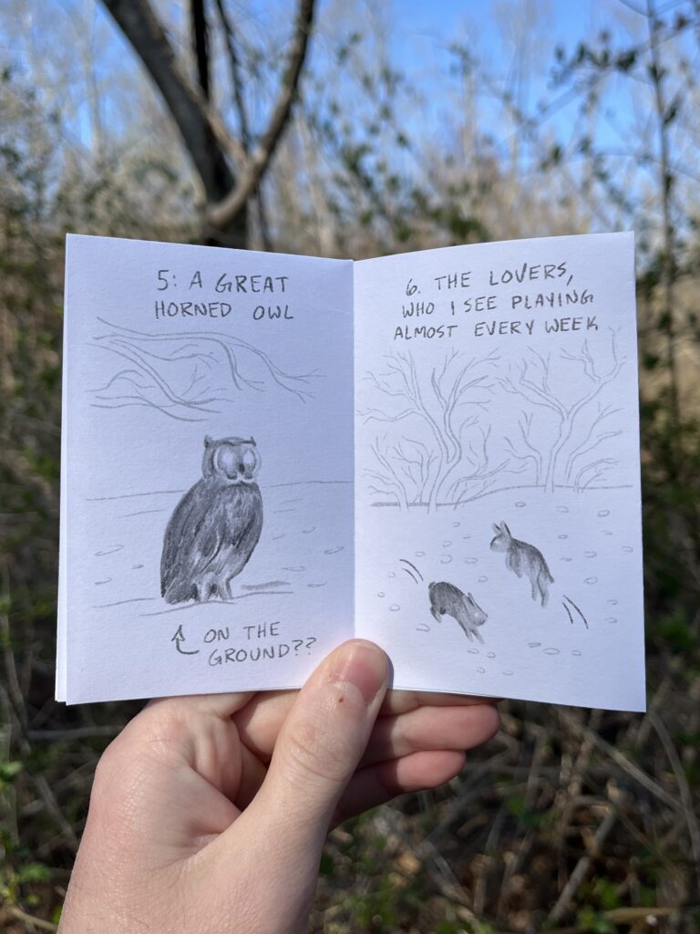 Spread of a zine that contains labelled grayscale drawings of a Great Horned Owl sitting on the ground, and two bunnies playing. The bunnies are labelled as "The Lovers," who the author sees playing almost every week.