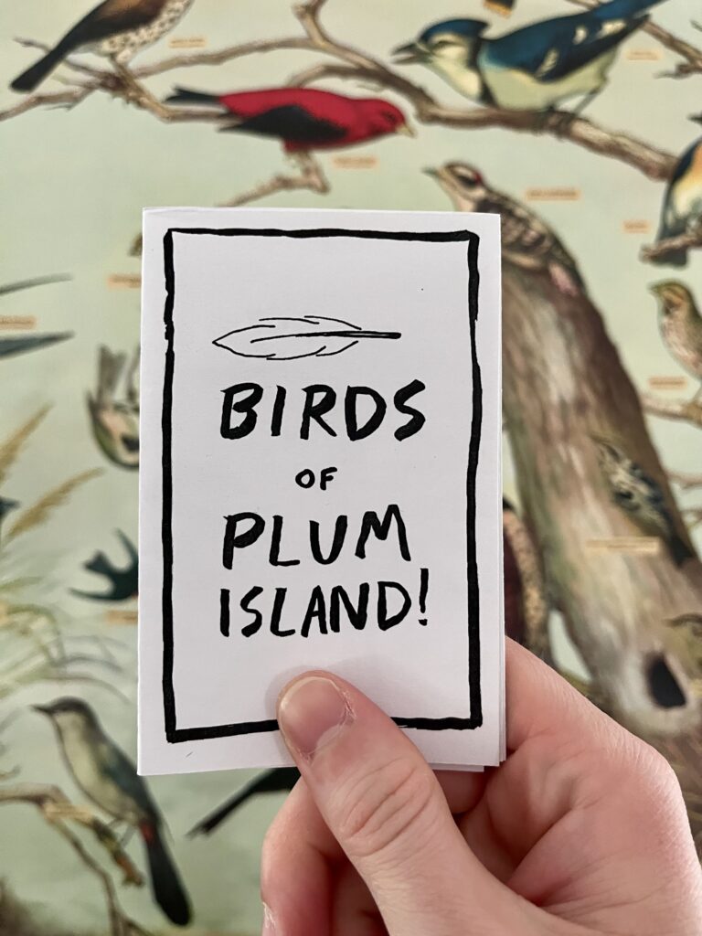 Photo of a zine with black text on it that reads "Birds of Plum Island!" above the text is a feather