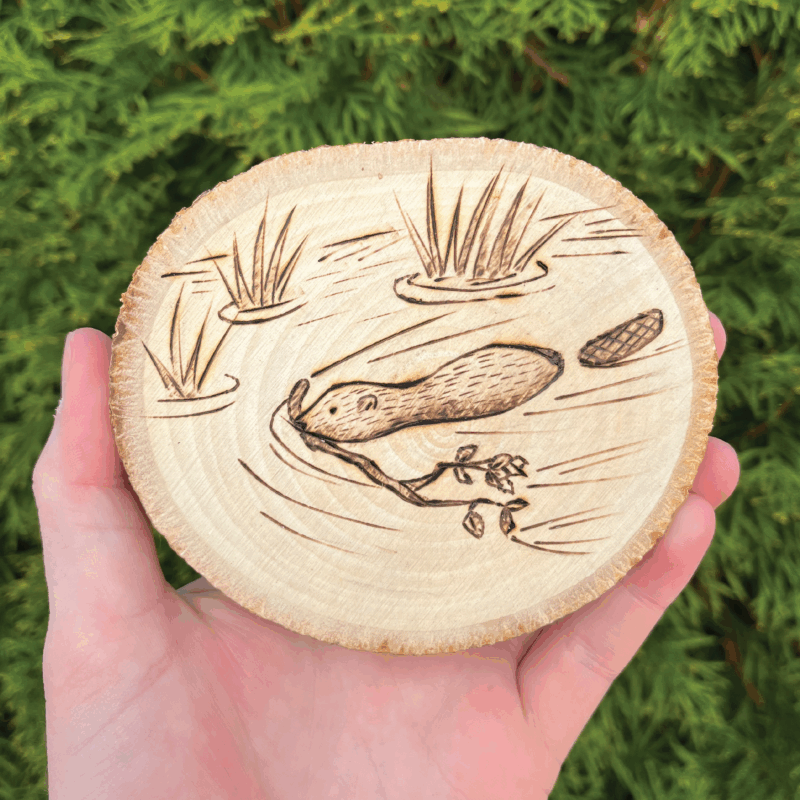 Photo of a hand holding a small wooden disc that is a cross-cut of a tree. An illustration of a swimming beaver is burned into it.